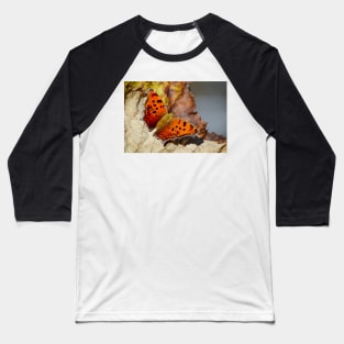 Eastern Comma Butterfly Baseball T-Shirt